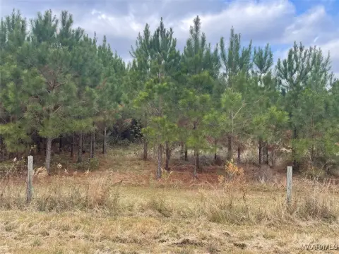 Land Parcel in Coosada, AL