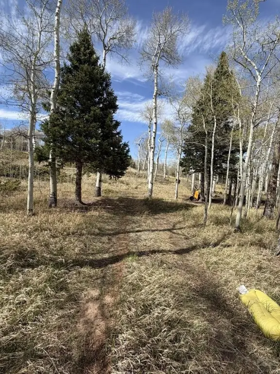 Picture 2