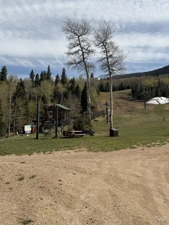 Picture 14