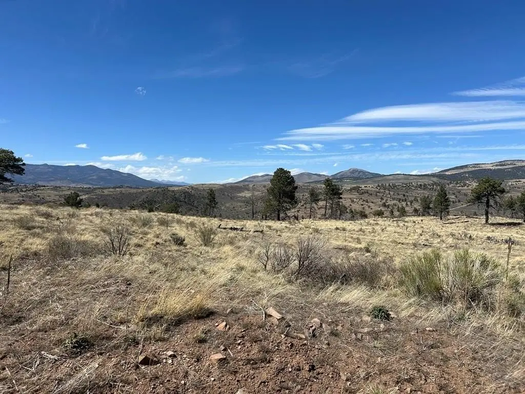 Picture 9