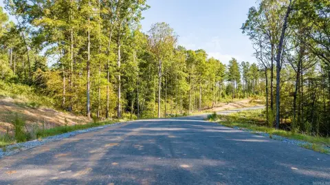 Residential Lot in Gated Subdivision