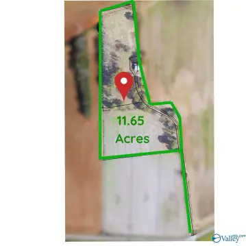 New Market Acreage with Shop