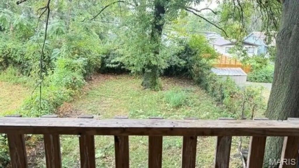 Picture 13