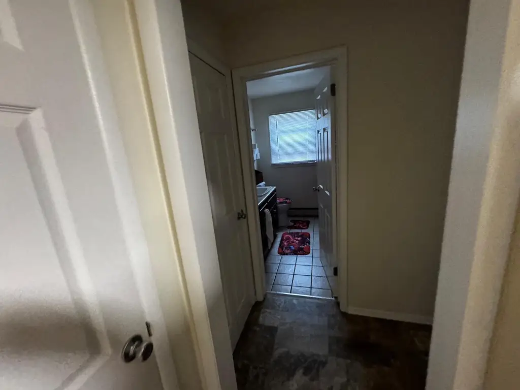 Picture 15