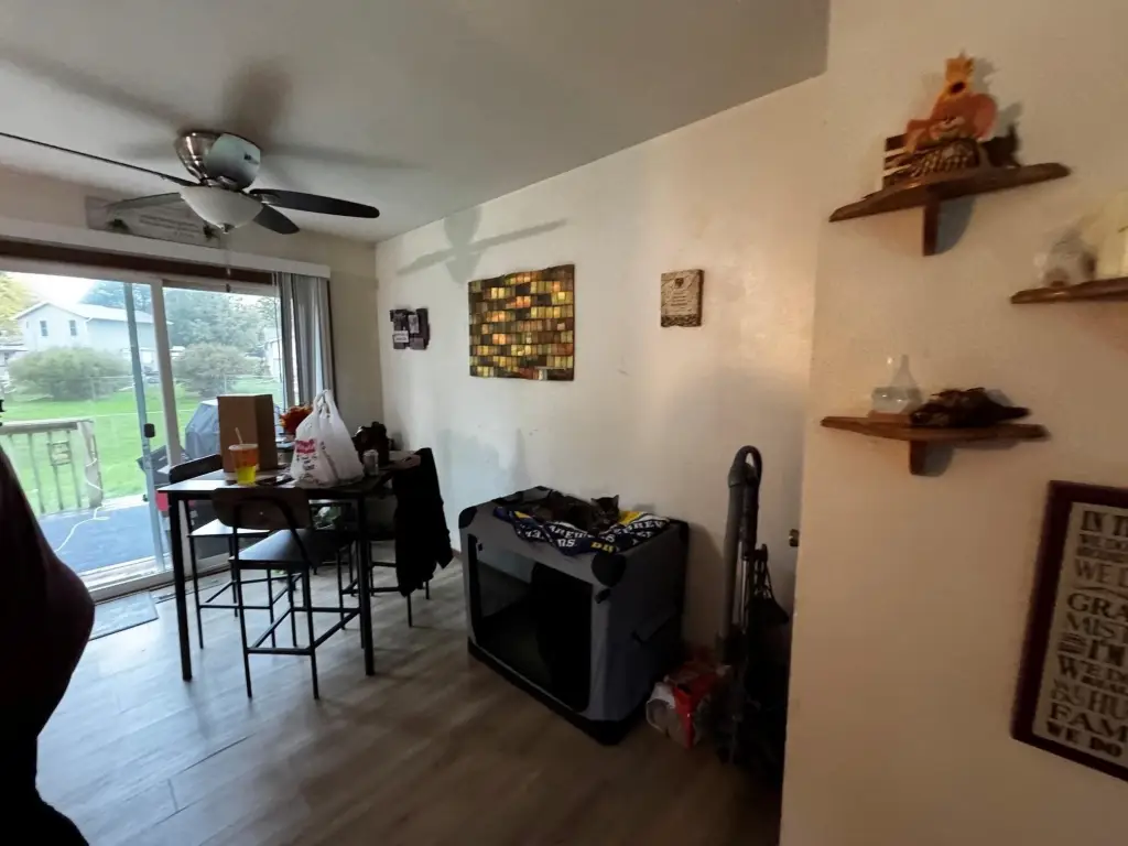 Picture 9