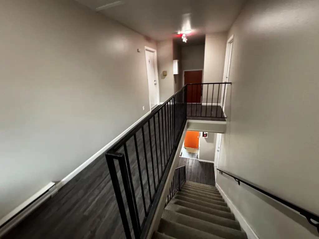 Picture 17