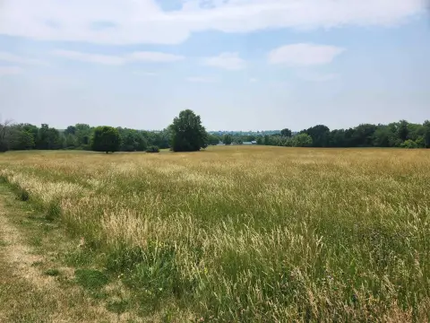 Lake Carroll Buildable Ranchette Lot