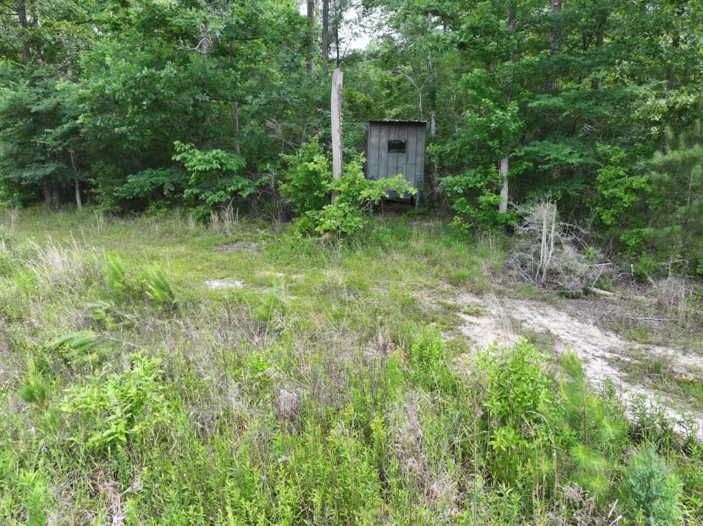 Picture 25