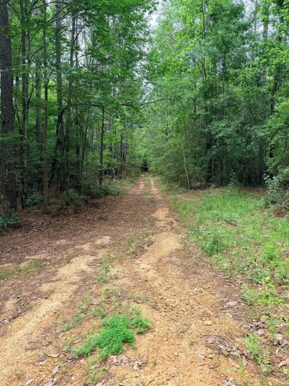Picture 36