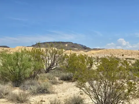 Terlingua Vacant Land with Views