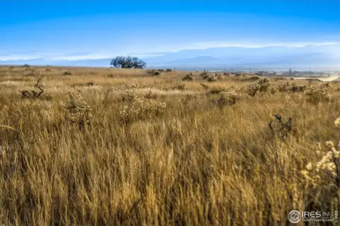 Expansive Mountain View Homesite