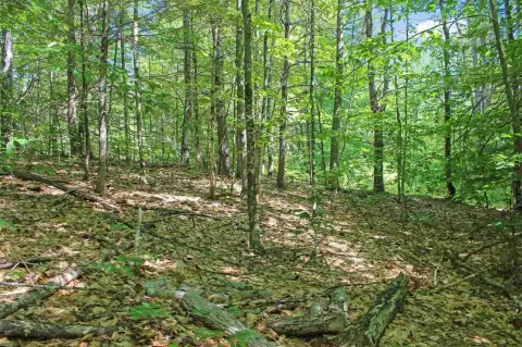 Ossipee, NH One-Acre Lot