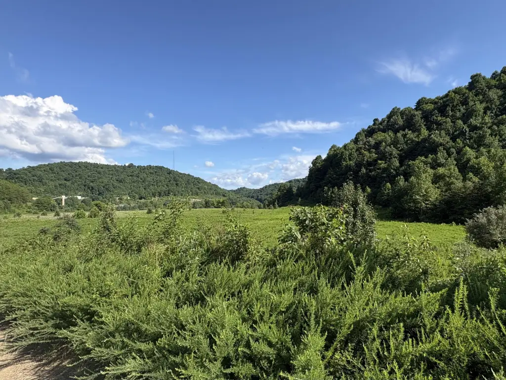 Picture 6