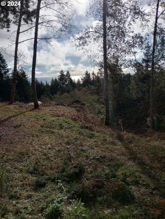 Picture 13