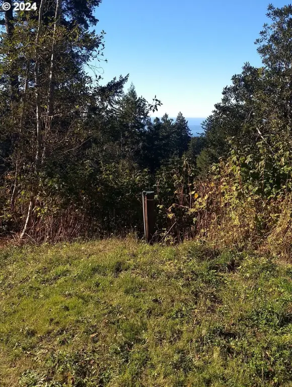 Picture 3