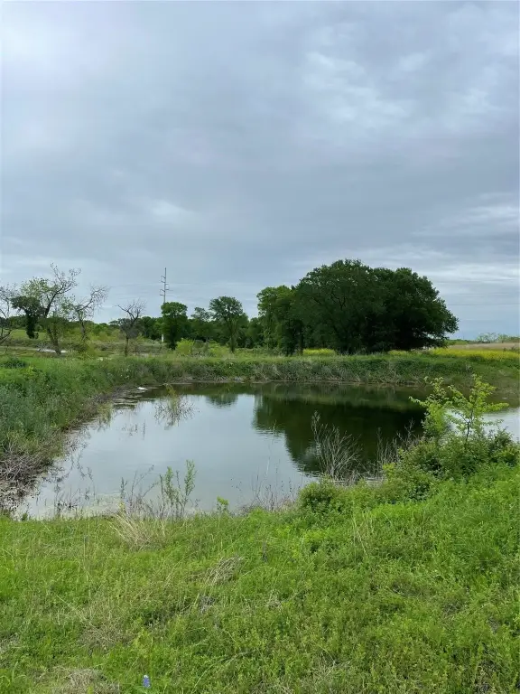 Picture 23