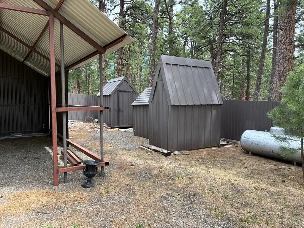 Picture 3