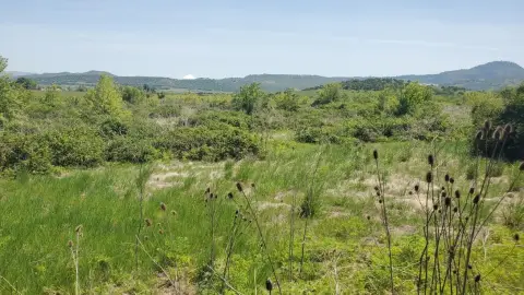 Prime Commercial Land Opportunity