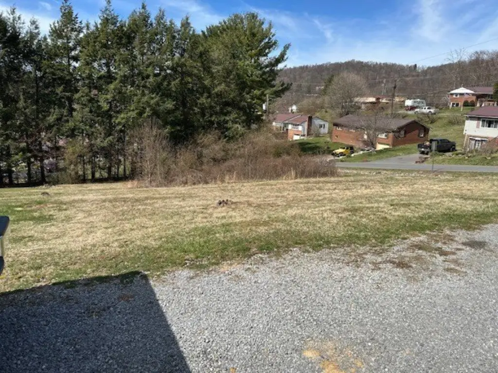 Picture 5