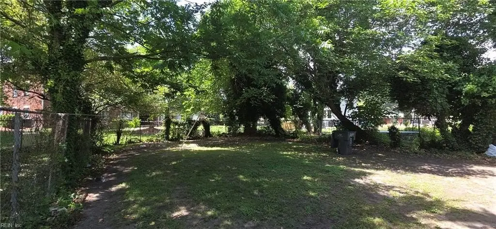 Picture 8