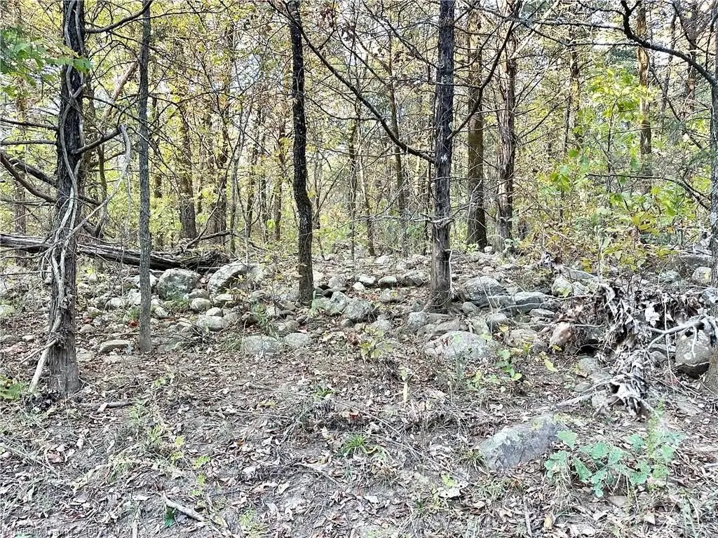 Picture 24