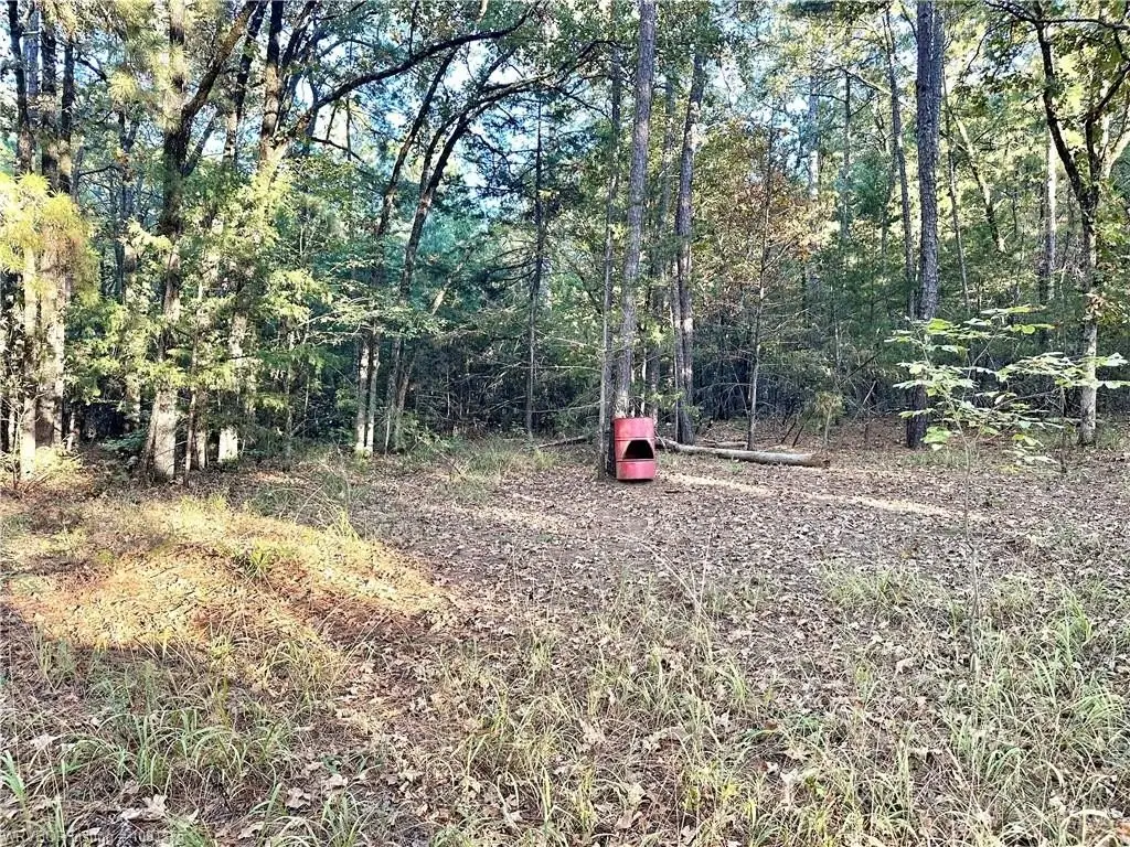 Picture 10