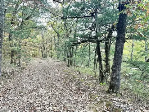 Mountain Hunting Land