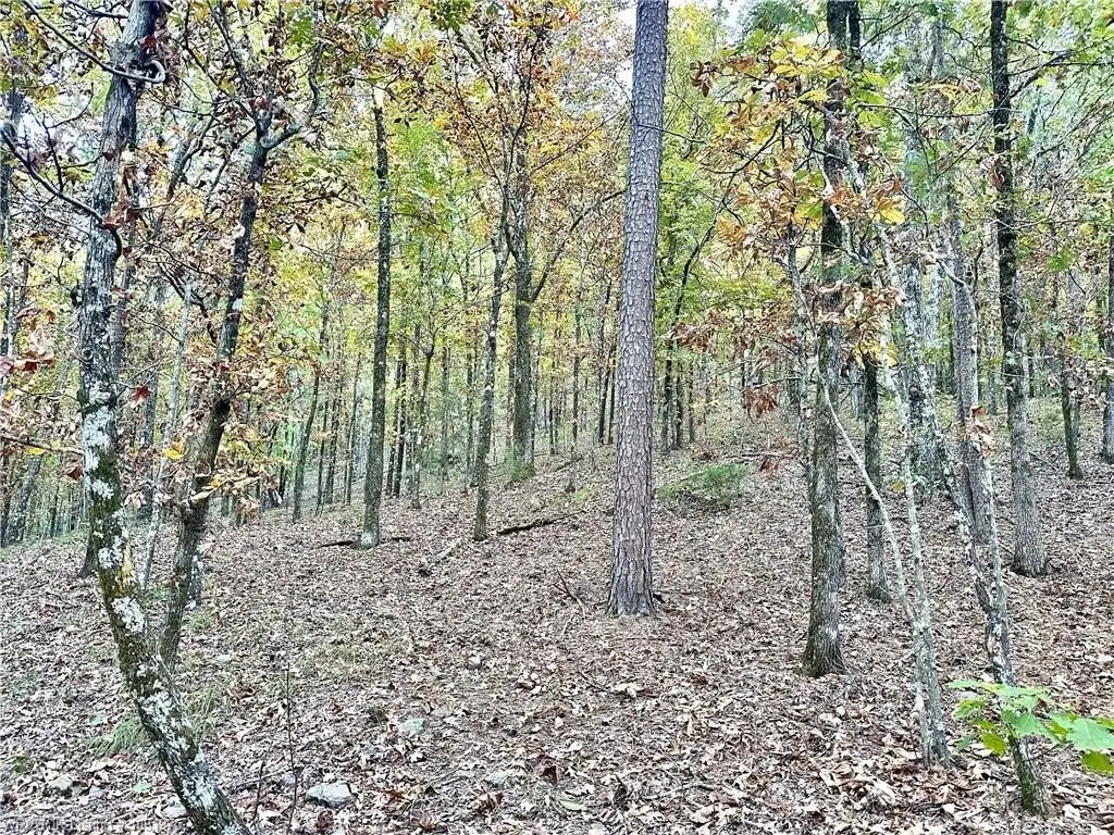 Picture 13