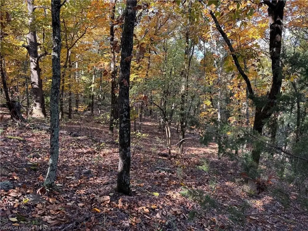 Picture 4