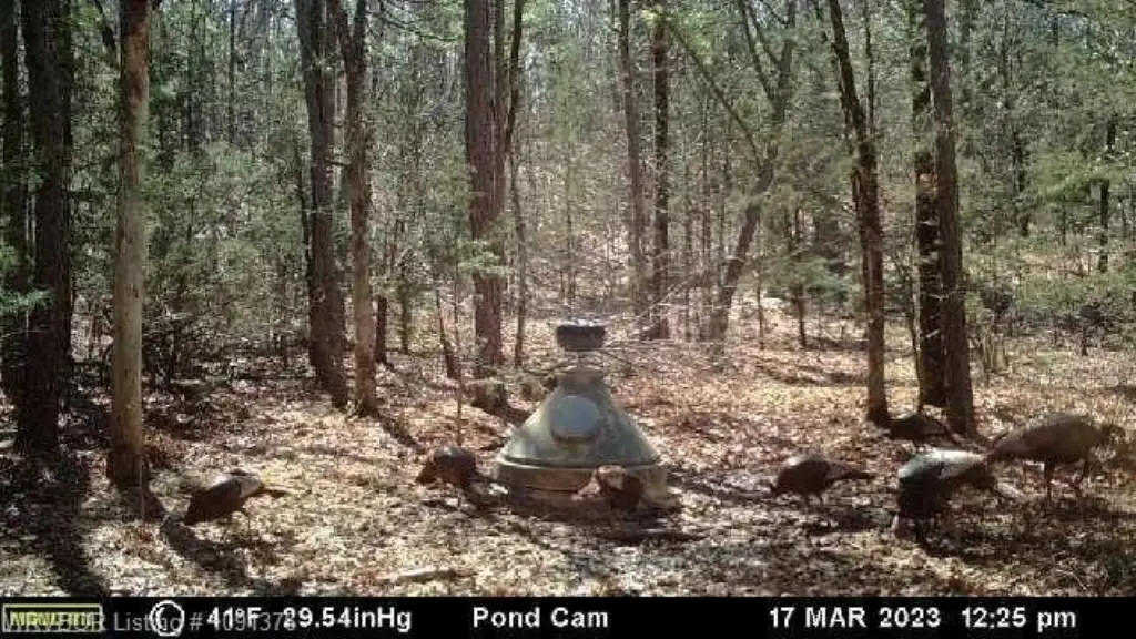Picture 19