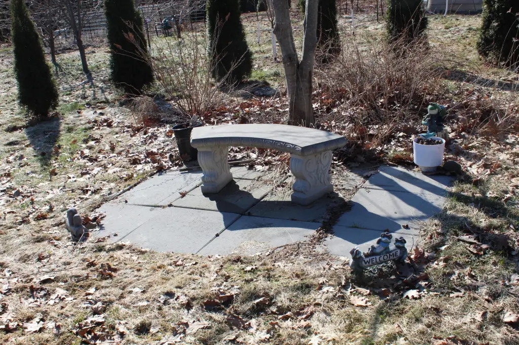 Picture 18