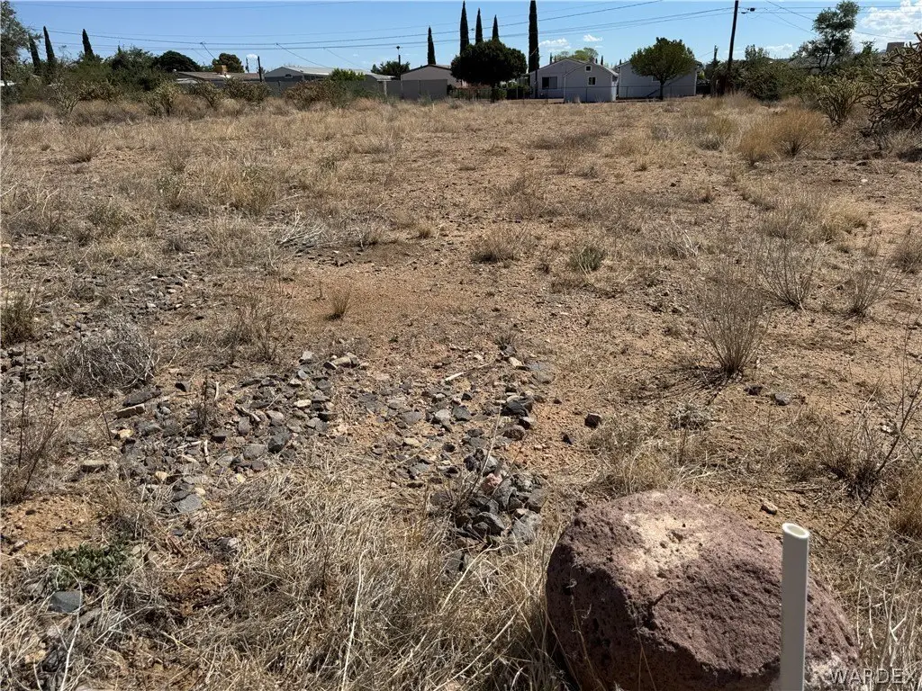 Picture 25