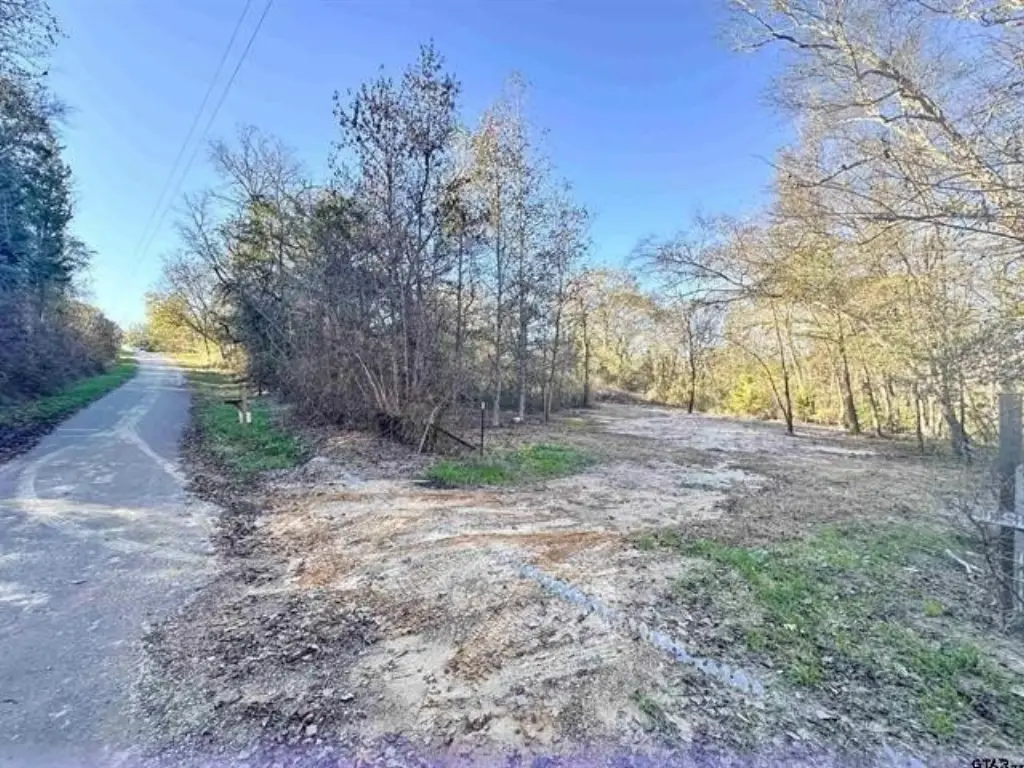 Picture 6