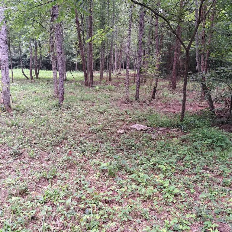 Picture 16