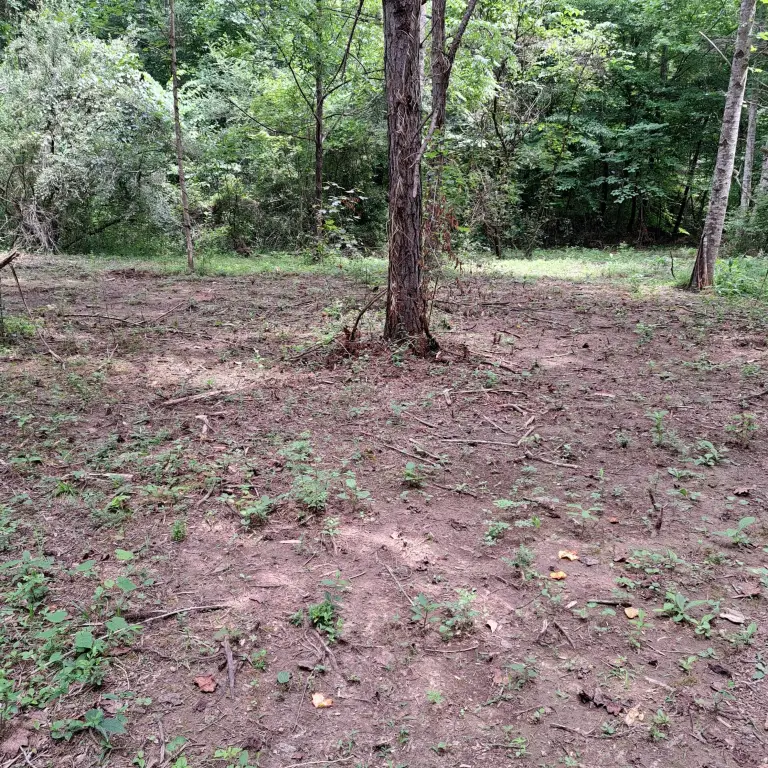 Picture 31
