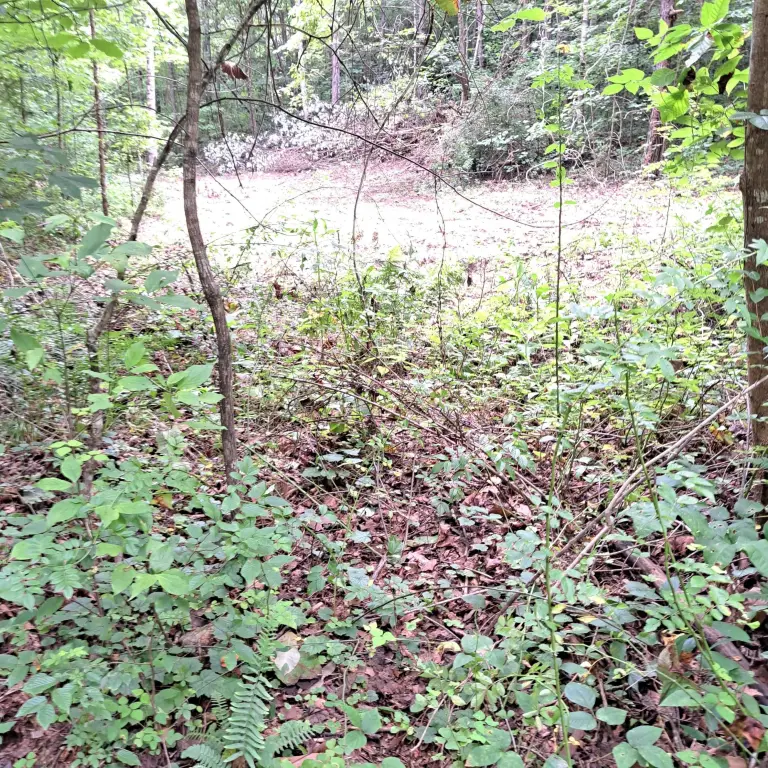 Picture 20