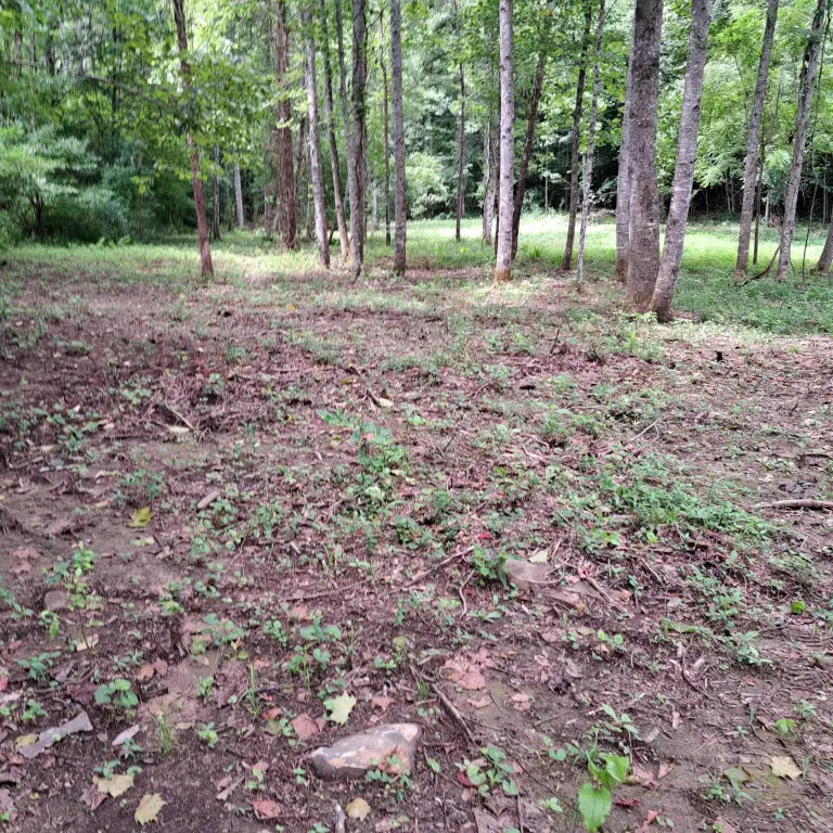 Picture 24