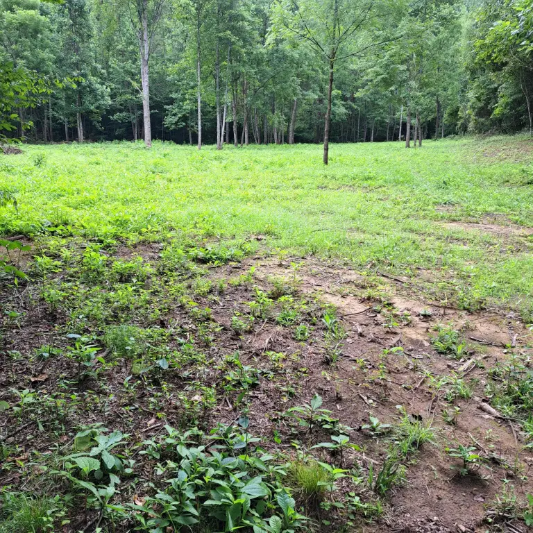 Picture 14