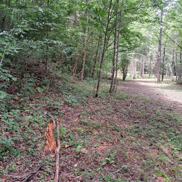 Picture 28