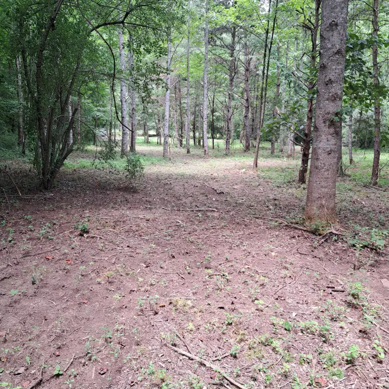 Picture 25