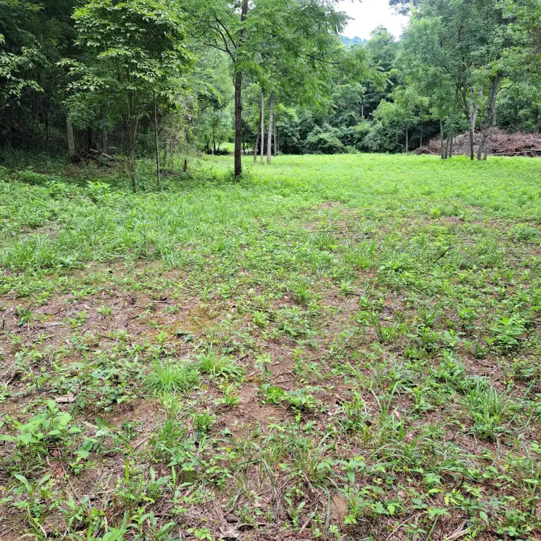 Picture 17