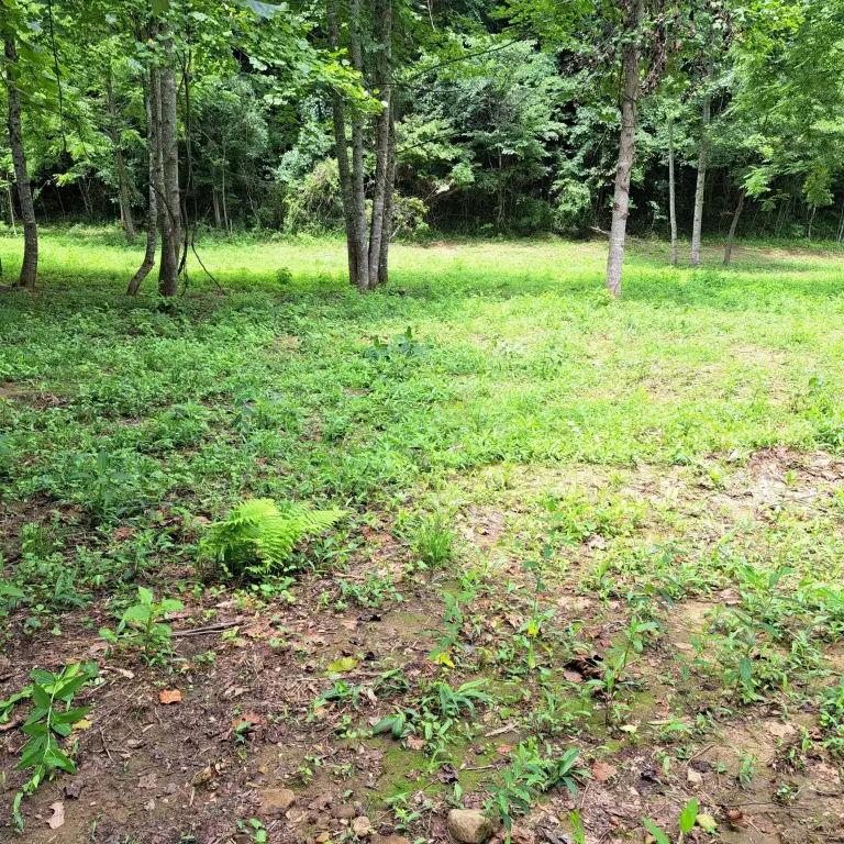 Picture 21
