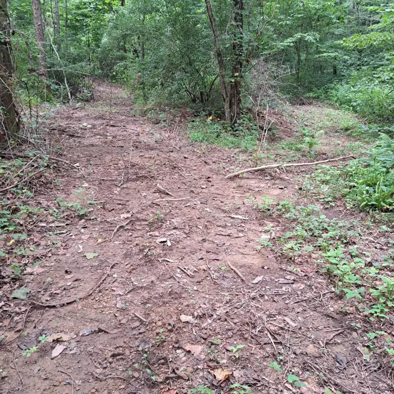 Picture 19