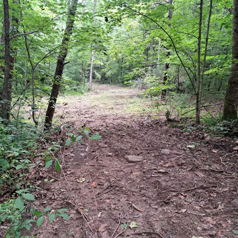 Picture 18