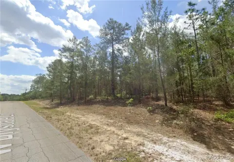 Citrus Springs Wooded Homesite