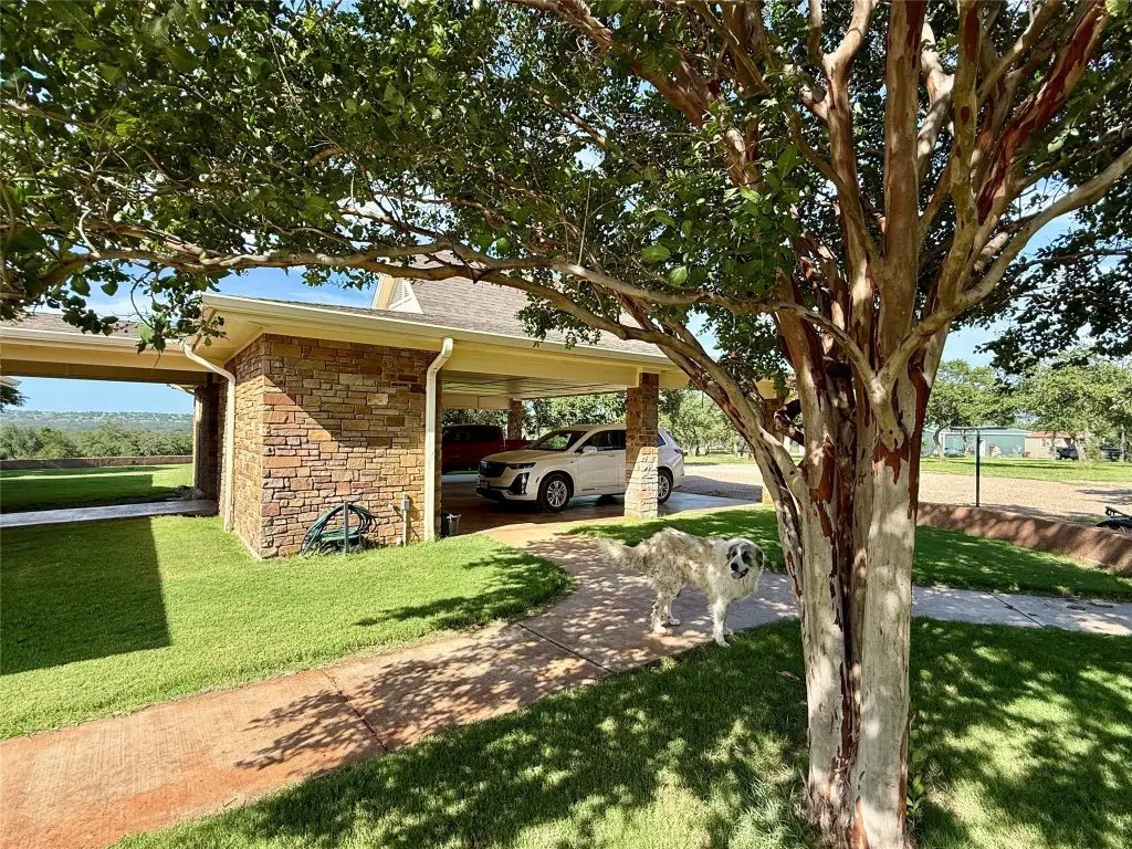 Picture 20