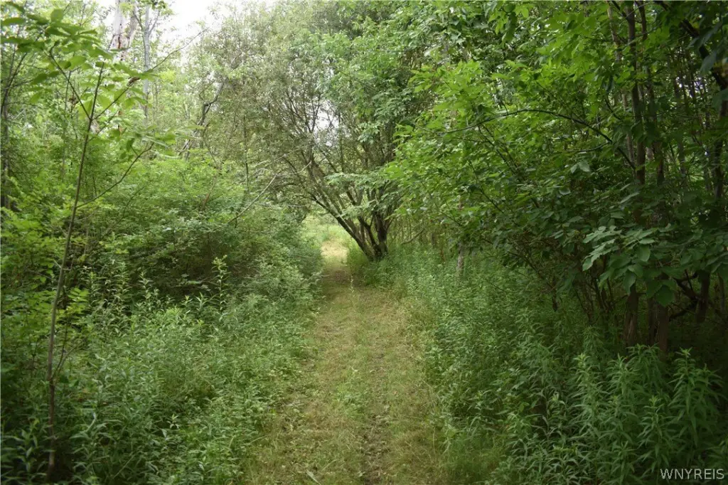 Picture 17