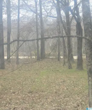 Waterfront Lot on Black Warrior