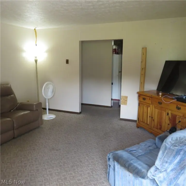 Picture 10