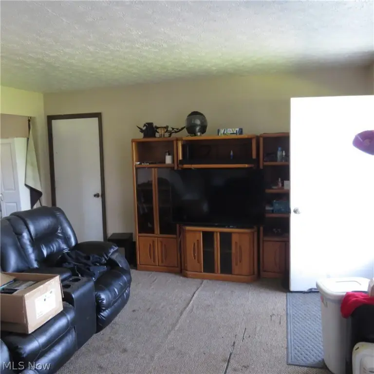 Picture 4